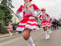 Faschingszug Diesenbach 2025_54